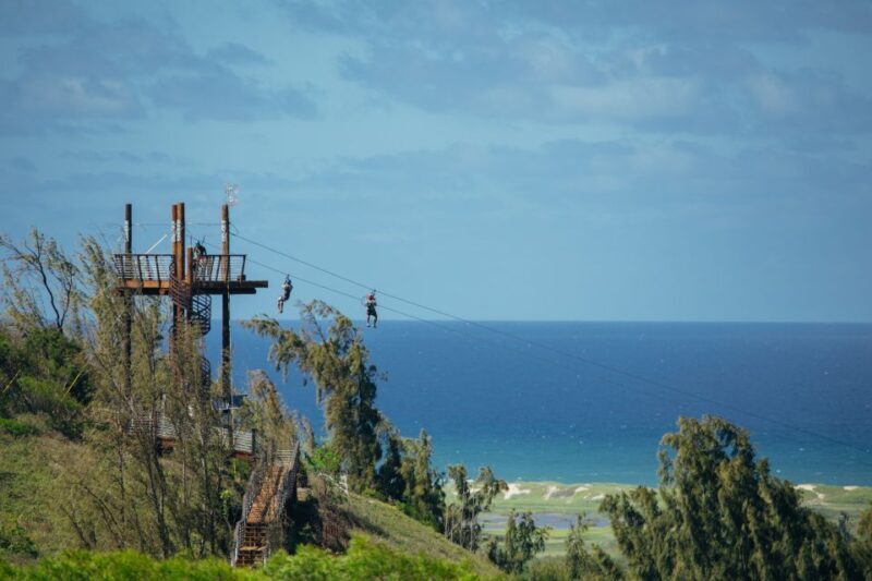 Oahu: North Shore Zip Line Adventure with ATV and Farm Tour - What Travelers Are Saying