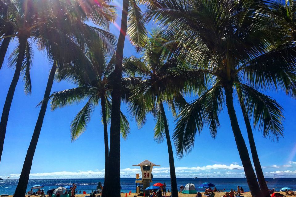 Oahu: Pearl Harbor and Honolulu City Tour - Inclusions