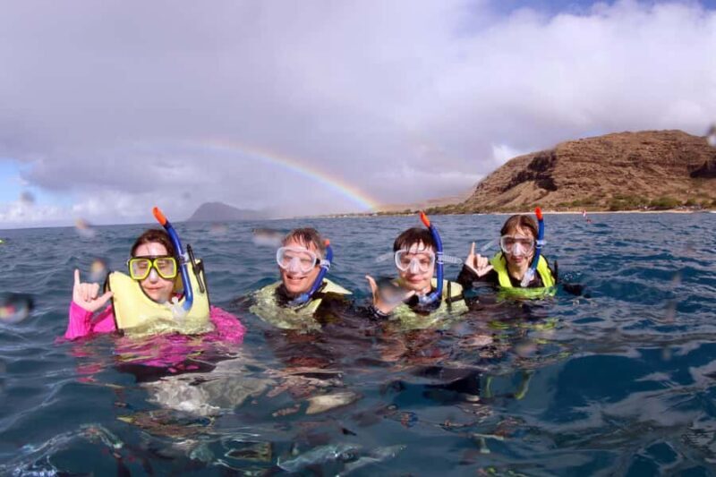 Oahu: Premium Snorkeling Cruise, Whale & Dolphin Watching - Key Points
