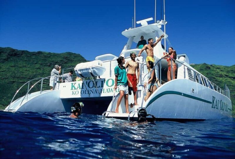 Oahu: Premium Snorkeling Cruise, Whale & Dolphin Watching - The Experience in Detail: What You Can Expect