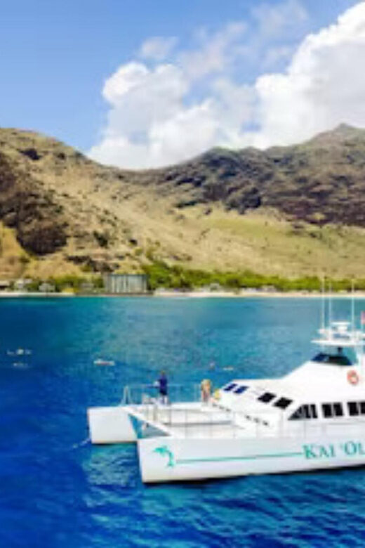 Oahu: Premium Snorkeling Cruise, Whale & Dolphin Watching - Practical Details: What You Need to Know