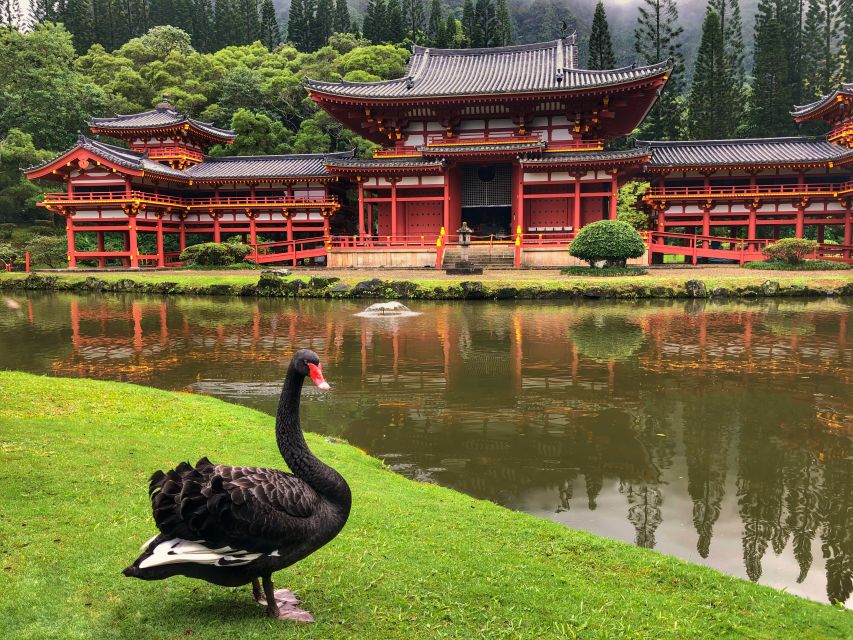 Oahu: Private Best of Oahu Sightseeing Tour - Frequently Asked Questions