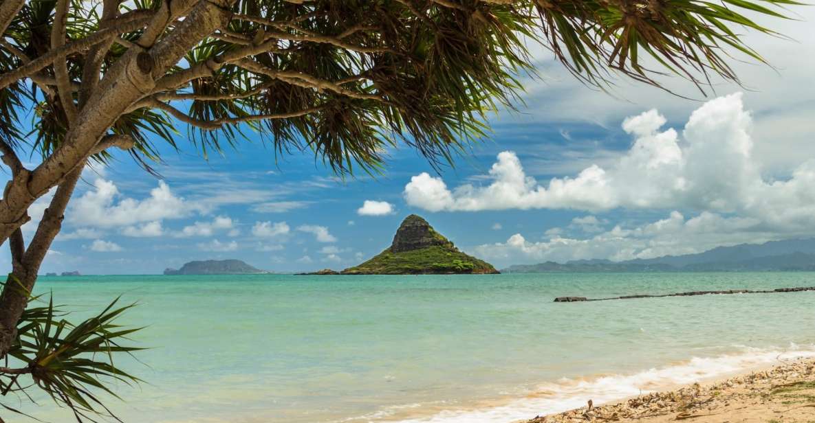 Oahu: Private Custom Island Tour - Encountering Green Sea Turtles
