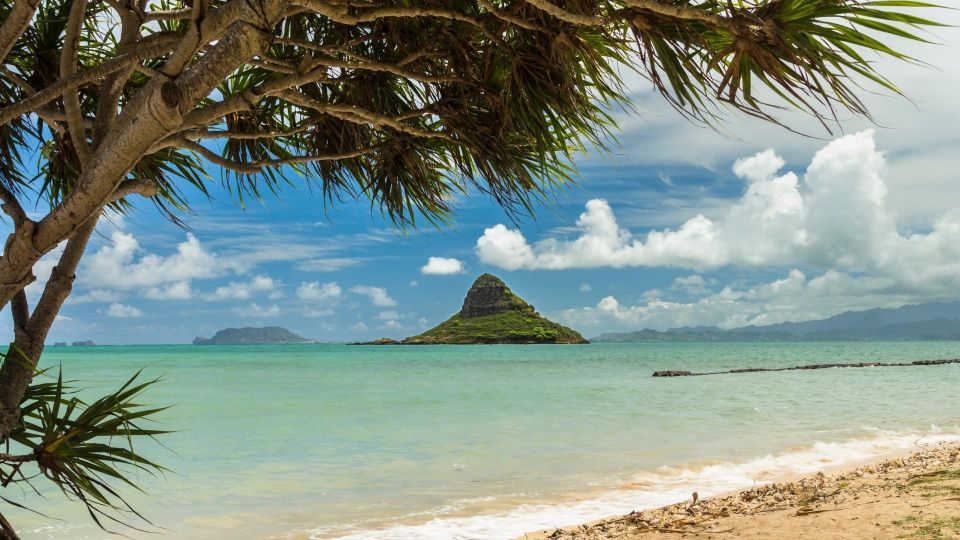 Oahu: Private Custom Island Tour - Visiting Honolulus Landmarks