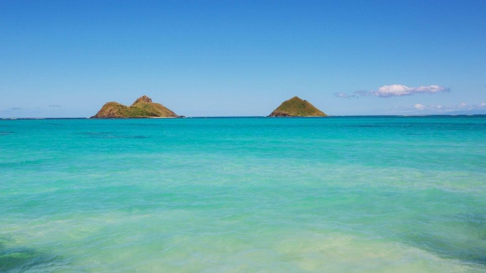 Oahu: Private Custom Island Tour - Shopping at Ala Moana