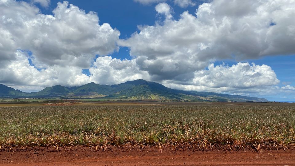 Oahu: Private Full-Day Foodie & Sightseeing Tour - Tour Itinerary