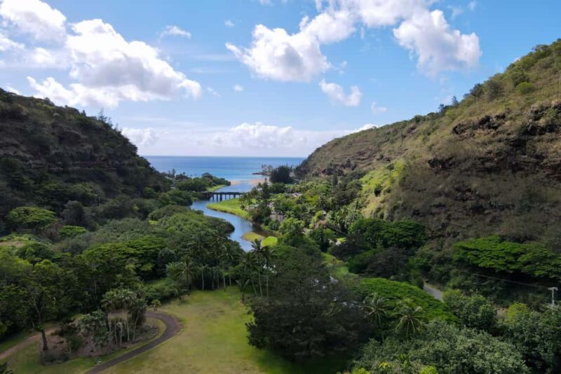 Oahu: Private Tour-North Shore feat. Waimea Falls - Authentic Experiences and Practical Tips