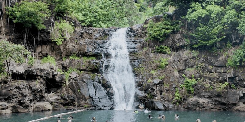 Oahu: Private Tour-North Shore feat. Waimea Falls - Who Will Love This Tour?