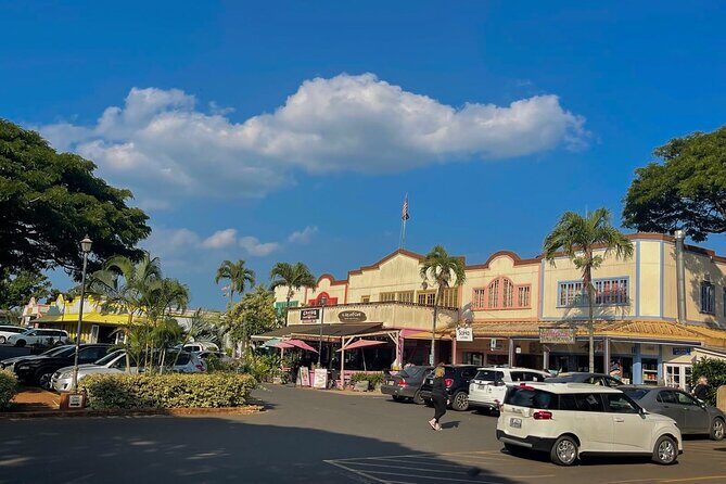 Oahu Private Tour North Shore, Waimea Falls and Dole Plantation - Practical Details and What They Mean for You