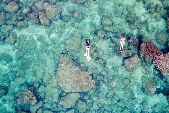 Oahu Private Tour North Shore, Waimea Falls and Dole Plantation - Who Is This Tour Best For?