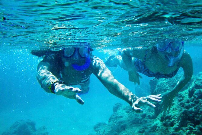 Oahu Private Tour North Shore, Waimea Falls and Dole Plantation - Final Thoughts