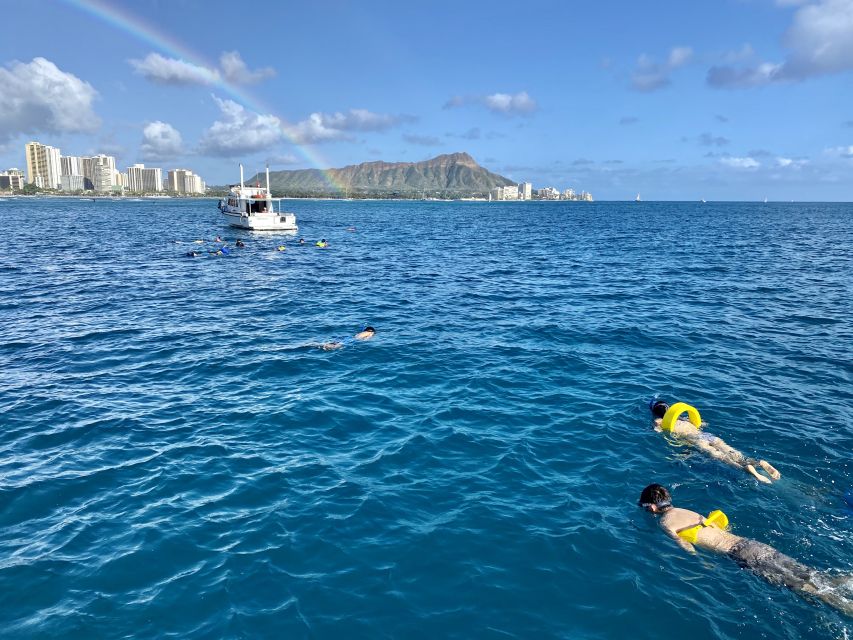 Oahu: Private Turtle Snorkeling With Customizable Itinerary - Key Points