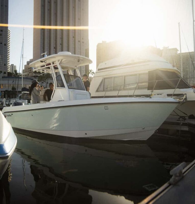 Oahu: Private Whale-Watching Tour - 6 passengers max - The Sum Up