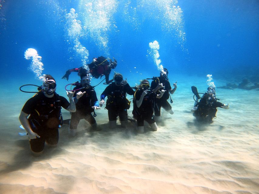 Oahu: Scuba Diving Lesson for Beginners - Key Points
