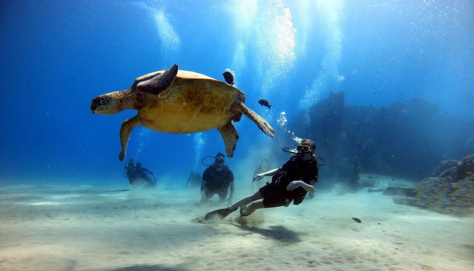 Oahu: Scuba Diving Lesson for Beginners - Pre-Dive Training