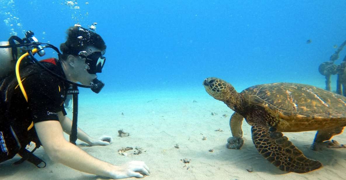 Oahu: Scuba Diving Lesson for Beginners - Underwater Photography
