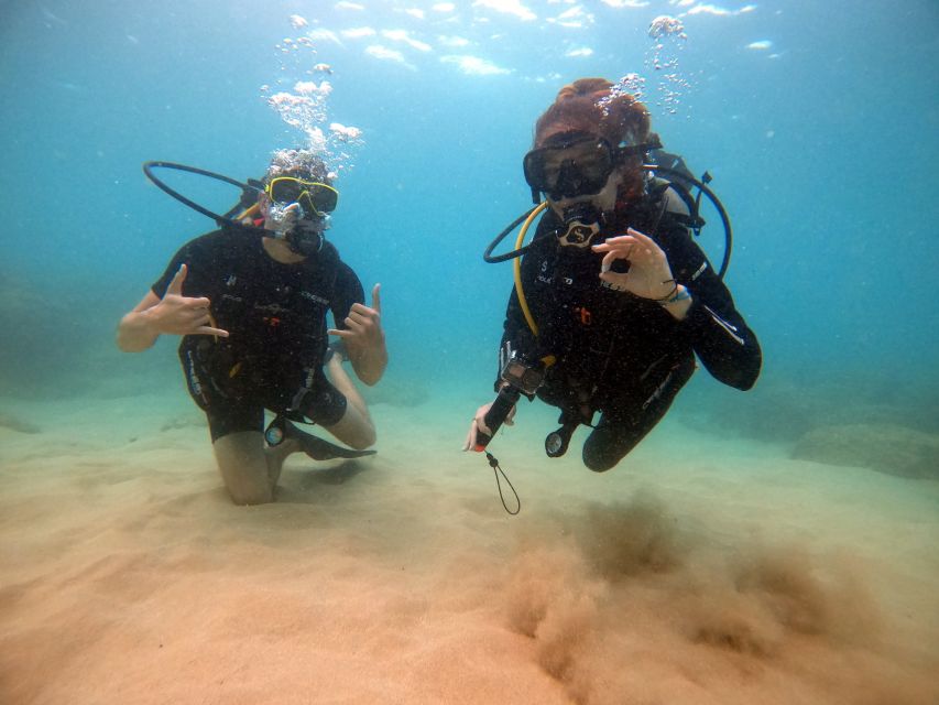Oahu: Scuba Diving Lesson for Beginners - Meeting Point Location