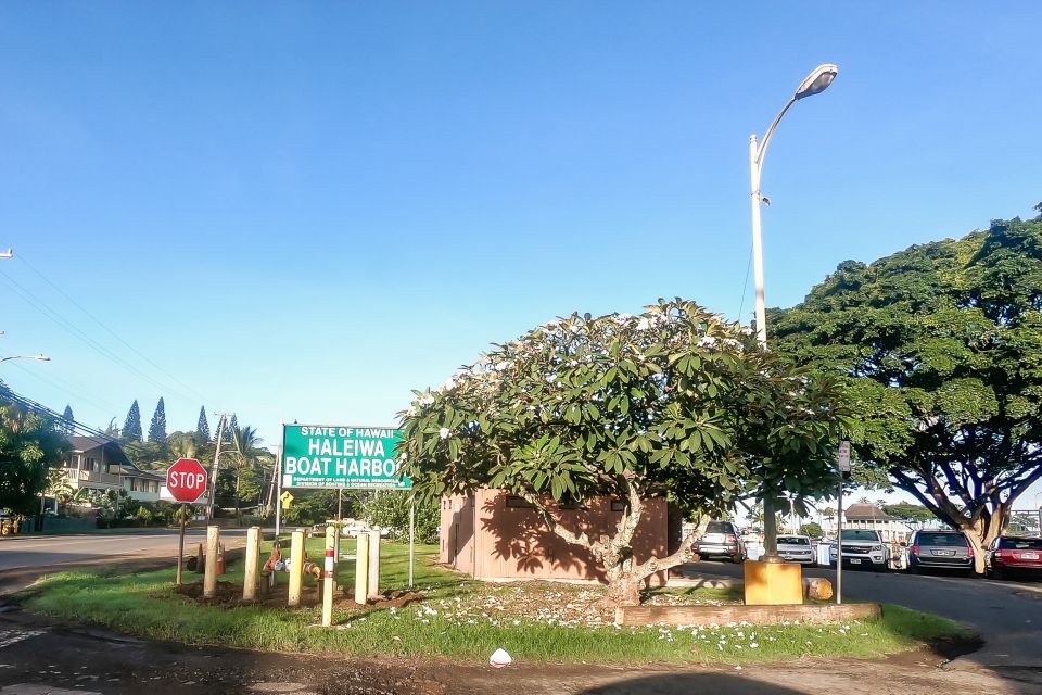 Oahu: Shark Cage Dive on the North Shore - Frequently Asked Questions