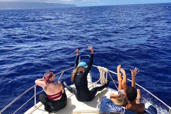 Oahu Shark Dive (No Cage) - Pricing and Booking