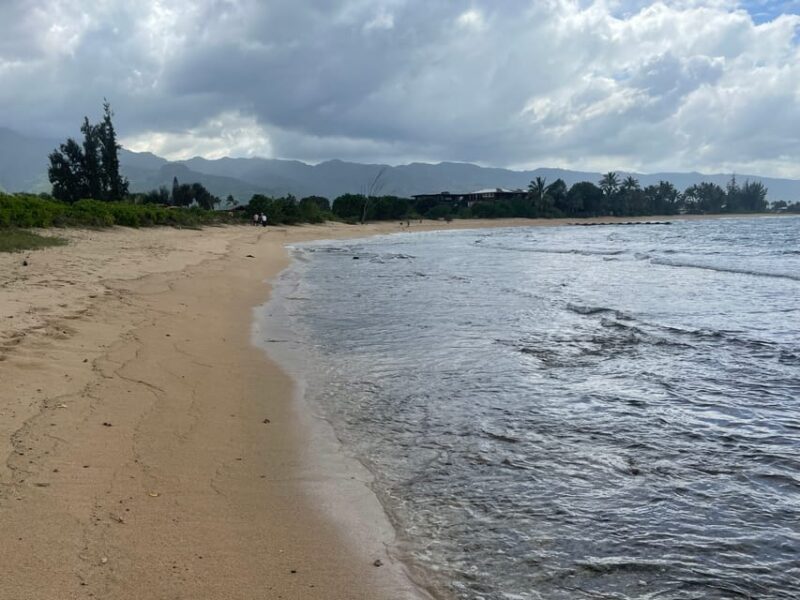 Oahu: Shoreline Restoration Tour W/ Native Plants & Animals - Key Points