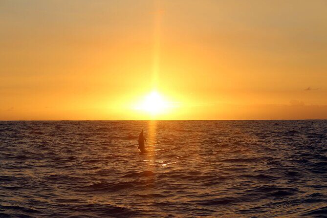 Oahu: Snorkel Sunset Cruise, Dolphin Watch with Hawaiian Buffet - Sunset Over the Pacific
