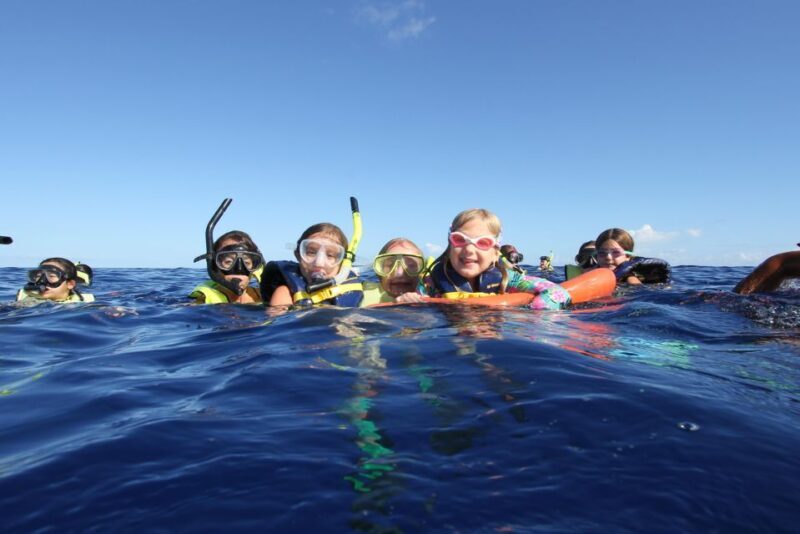 Oahu: Speedboat Snorkeling Adventure and Wild Dolphin Swim - How the Tour Is Structured