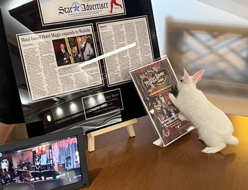 Oahu: The Magical Mystery Show! at Hilton Waikiki Beach - Discover the Museum of Curiosities