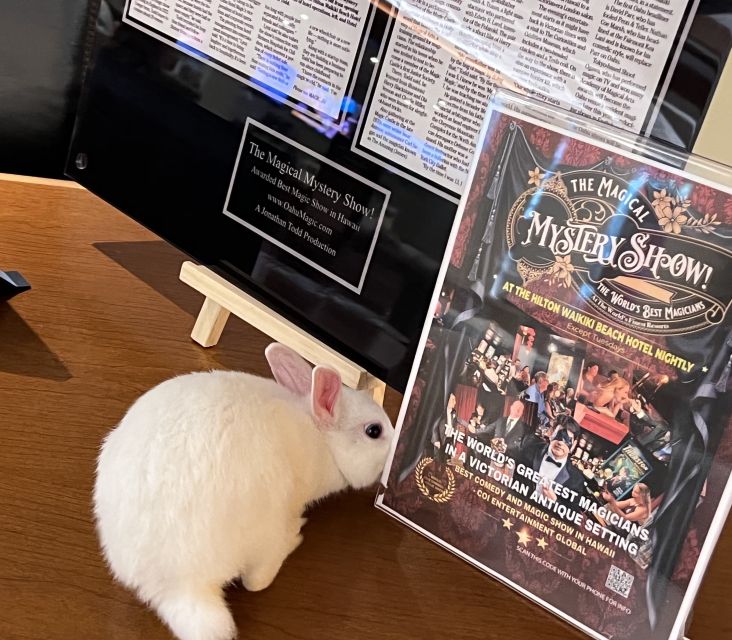 Oahu: The Magical Mystery Show! at Hilton Waikiki Beach - Benefit Shriners Childrens Hospital Honolulu