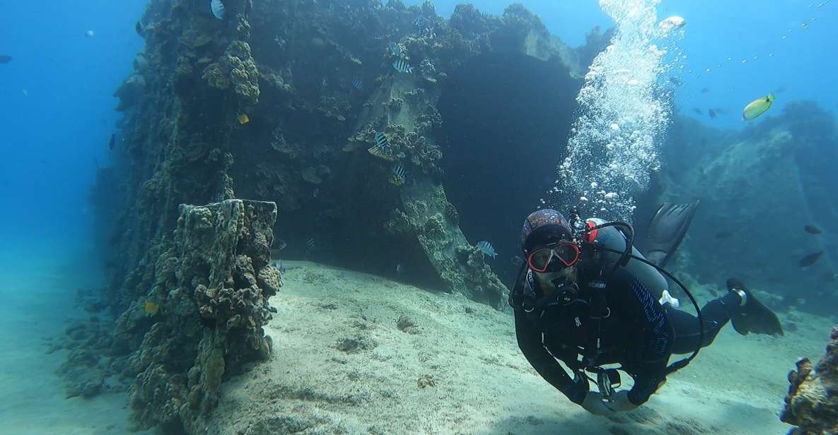 Oahu: Try Scuba Diving From Shore - Tour Duration and Participants