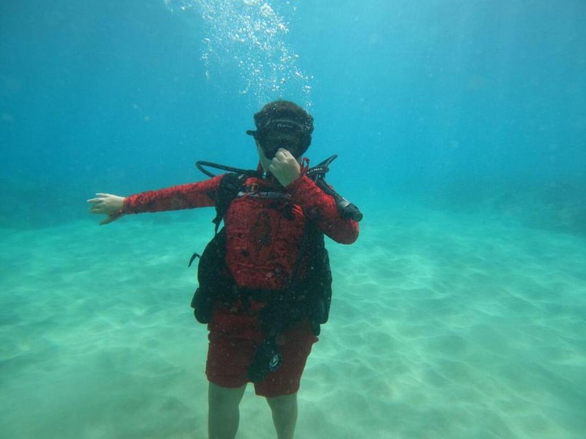 Oahu: Try Scuba Diving From Shore - Included in the Tour