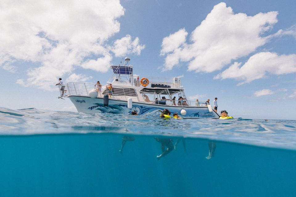 Oahu: Turtle Canyon Snorkeling & Hula Dance - Snorkeling Along Vibrant Reefs