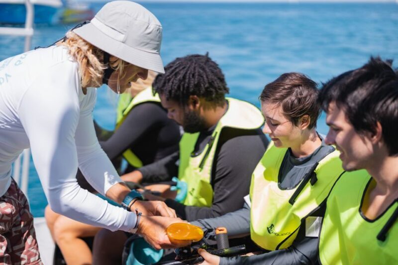 Oahu: Turtle Canyon Snorkeling & Hula Show - Who Will Love This Tour?