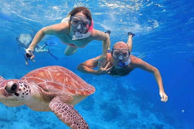 Oahu Ultimate Circle Island Tour Full Day Experience - Included Amenities and Services