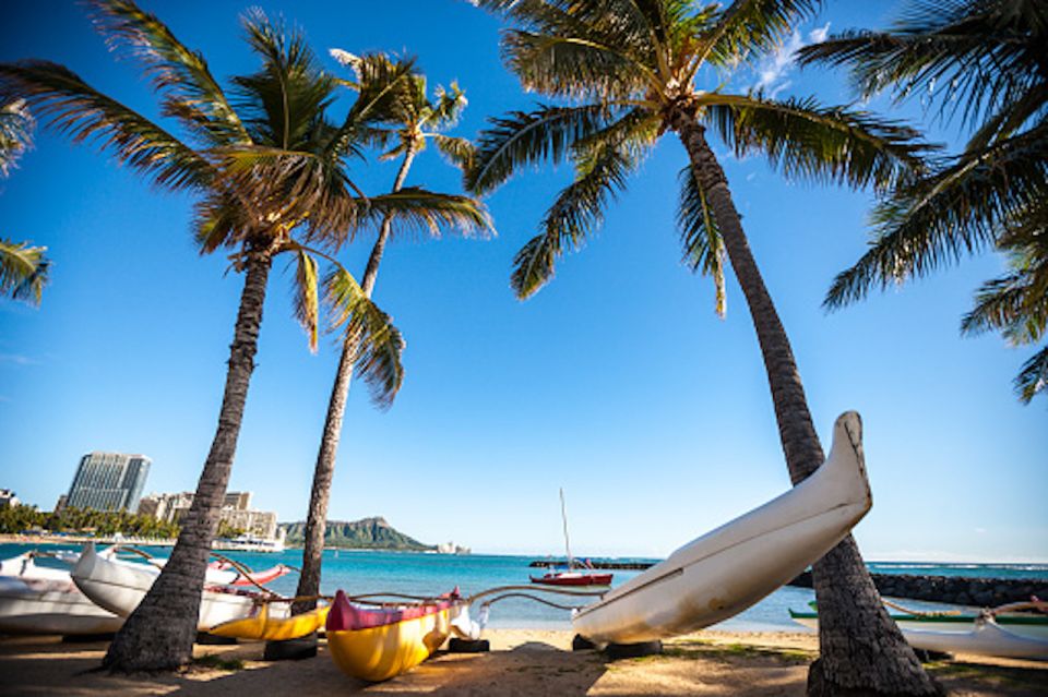 Oahu: Waikiki Kayak Tour and Snorkeling With Sea Turtles - Safety and Precautions