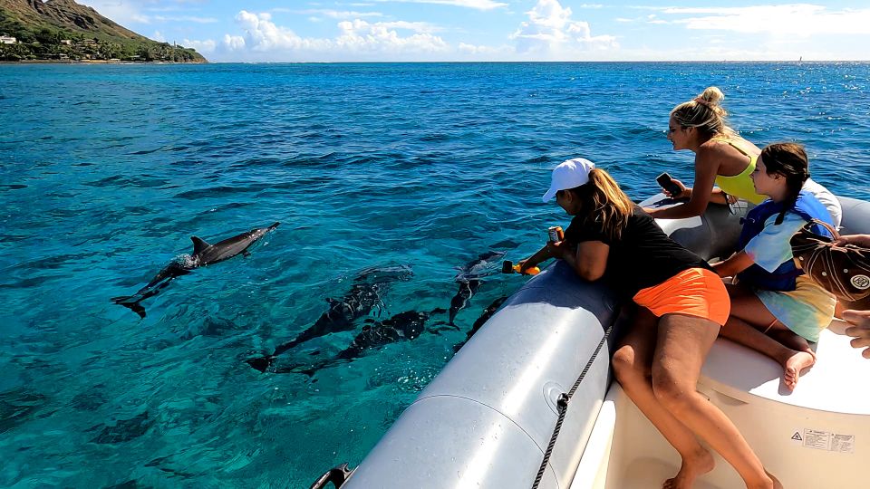 Oahu: Waikiki Private Snorkeling and Wildlife Boat Tour - Tour Features and Inclusions