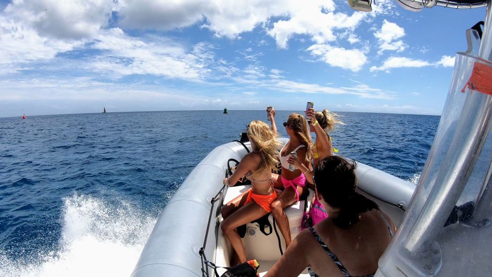 Oahu: Waikiki Private Snorkeling and Wildlife Boat Tour - Booking Information and Reservation