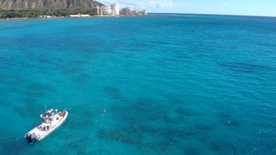 Oahu: Waikiki Private Snorkeling and Wildlife Boat Tour - Inclusions: Gear, Boat, and Gratuities