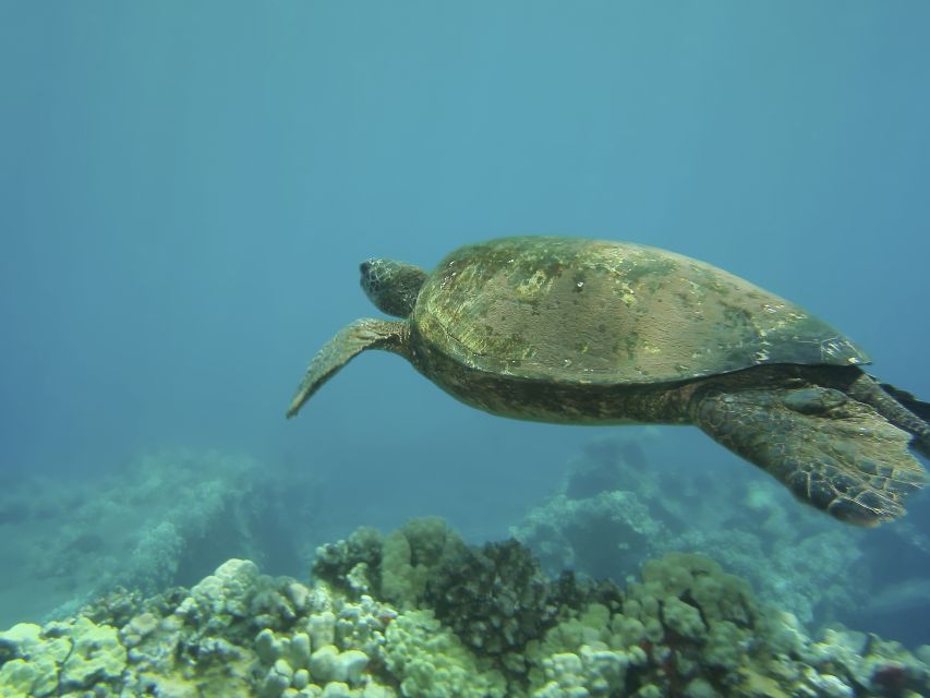 Oahu: Waikiki Snorkel and Sailing Day Trip With Lunch - Relaxing on the Catamaran