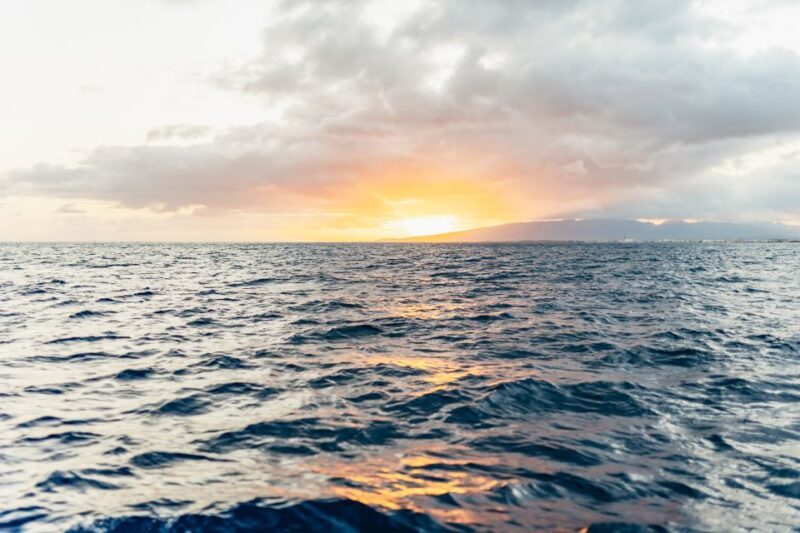 Oahu: Waikiki Sunset Catamaran Cocktail Cruise - Authentic Perspectives from Past Guests