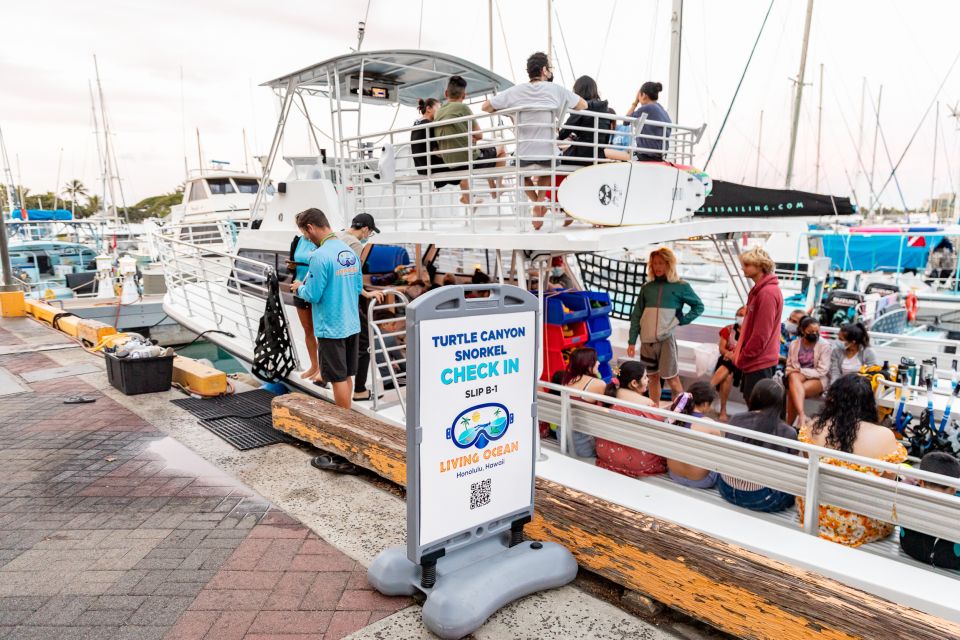 Oahu: Waikiki Turtle Canyons Cruise and Snorkel Excursion - Meeting Point and Instructions