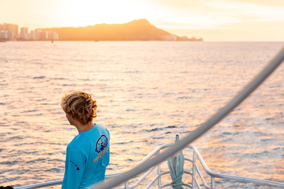 Oahu: Waikiki Turtle Canyons Cruise and Snorkel Excursion - Snorkeling With Sea Turtles
