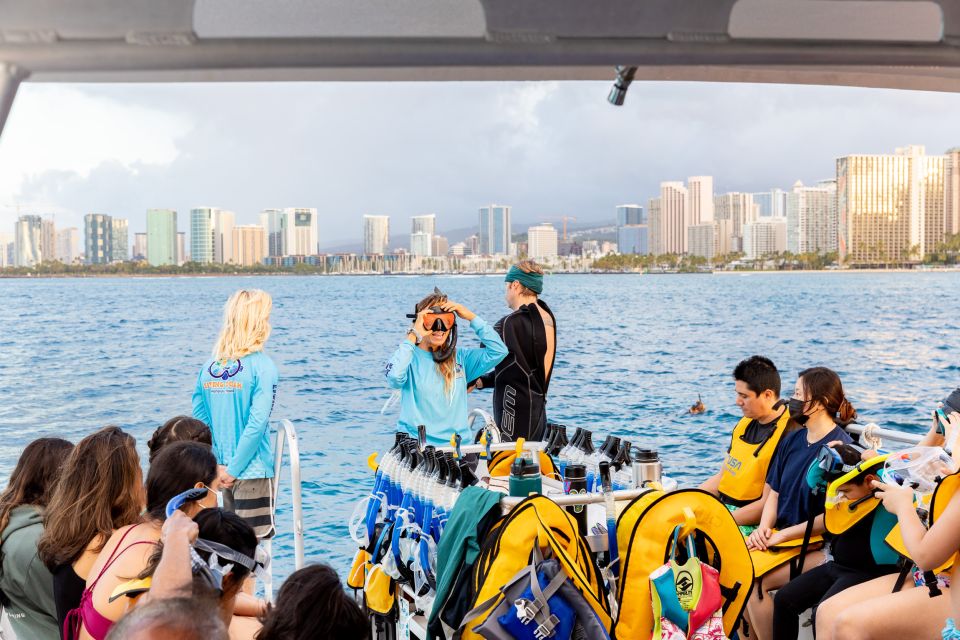 Oahu: Waikiki Turtle Canyons Cruise and Snorkel Excursion - Encountering Tropical Fish