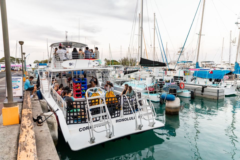 Oahu: Waikiki Turtle Canyons Cruise and Snorkel Excursion - Frequently Asked Questions