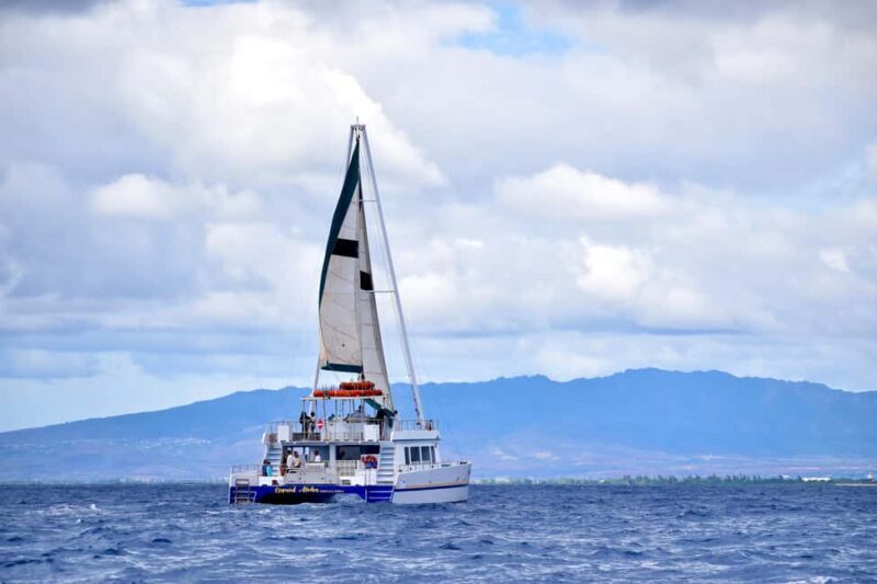 Oahu: Waikiki Whale Watching Cruise - What to Expect on the Waikiki Whale Watching Cruise