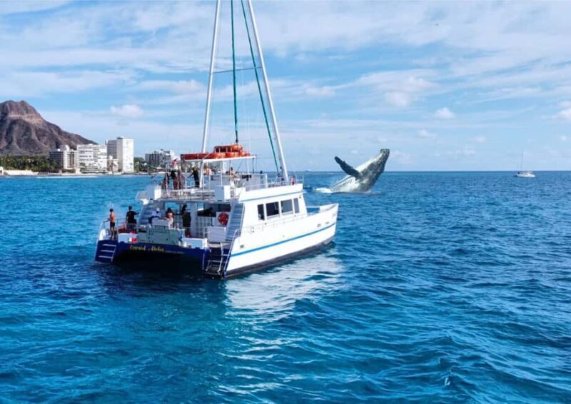 Oahu: Waikiki Whale Watching Cruise - The Itinerary: A Typical Day on the Water