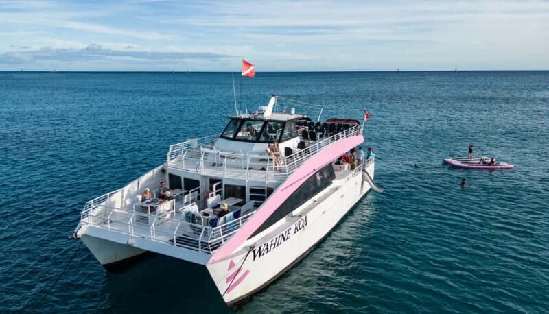 Oahu: Whale Watching Catamaran Tour near Waikiki - A Closer Look at the Whale Watching Experience