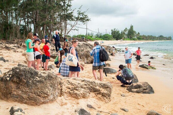 Oahu's Cheapest Circle Island Tour - Discovering the Heart of Oahu