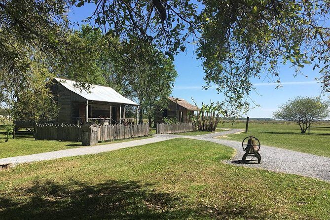 Oak Alley and Laura Plantation Tour with Transportation from New Orleans - Who Will Love This Tour?