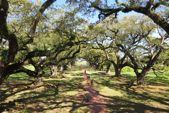 Oak Alley Plantation and New Orleans City Tour - Itinerary and Schedule