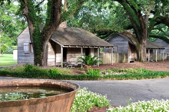 Oak Alley Plantation Half-Day Tour From New Orleans - Visitor Feedback